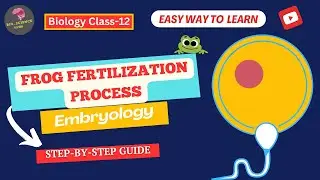 Embryology: Frog Fertilization Explained|Bio_Science Guide