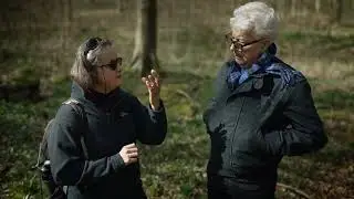 Circle of Days: Exploring West Woods with Dr Katy Whitaker
