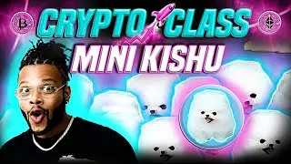 🔥 CRYPTO CLASS: MINI KISHU | NFT GAMING FLATFORM & DECENTRALIZED YIELD FARM APPLICATIONS