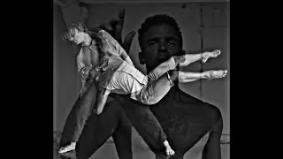 The physicality  of rootlessness  TEASER