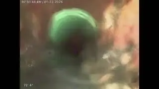 T025616910 E. QUINCY AVE. AURORA CO. video 3