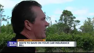 Find cheap car insurance in Florida and lower your premium