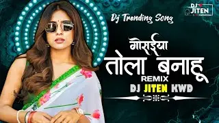 Gosaiyal Tola Banahu Cg Dj Song | Ritesh Manchala Cg Song | Dj Jiten Kwd 