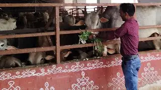 नीलम ऑफिशल गुड नाइट आप सभी को