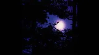 Autumnblaze - Every Silent Moment I Weep [Full EP]