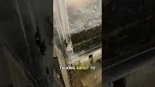 Our 200 Gallon Fish Tank Exploded!