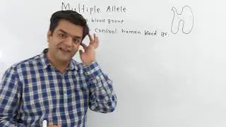 Multiple Alleles eg Human Blood Group, Phenotype and Genotype
