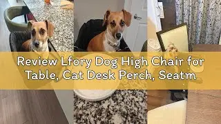 Review Lfory Dog High Chair for Table, Cat Desk Perch, Seatmate Chairs for Dogs, Cat Office Perch At
