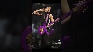 Purple Rain 💜💜💜 #prince4ever#