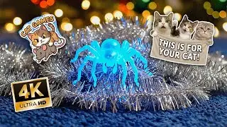 YOUR CAT LOVE THIS! &mdash; 8 Hours Of Cat Games & Chilling | Christmas 2025 | 4K Quality | CATFL1X