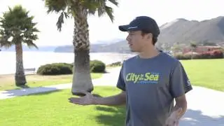 City to the Sea