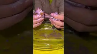 #asmrmakeup #slimemixing #chocolate #glossyslime #beautytutorial #slime