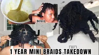 Mini Braids Takedown After 1 years | How I Detangle Mated 4c Natural Hair