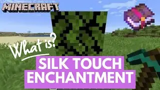 What Does Silk Touch Enchantment do on Minecraft 2024 | Minecraft Tutorial