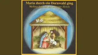 Gr&uuml;nt ein Tannenbaum