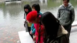 Nanning Fish Feeding