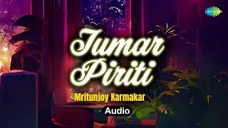 Tumar Piriti | Mritunjoy Karmakar | Manash Hazarika | Assamese Romantic Music | Audio Song