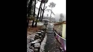 My village heavy fog baraf Bari uttarakhand Almora jai Golu Devta 