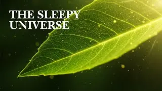 Photosynthesis Explained Slowly | Nature&rsquo;s Solar Power Plant | Relaxing Science for Sleep