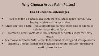 Eco-Friendly Areca Palm Plates &ndash; Wholesale UK Supplier | KVRM Traders