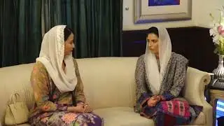 Aseefa Bhutto meets Indonesian trade vice minister, showcases Sindh&rsquo;s climate-resilient initiatives