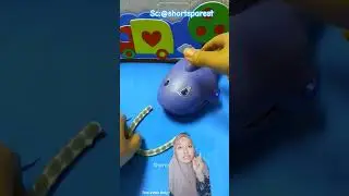 gigi kucing ilang @ShortsParesh #shorts #remix #funny #dubbing