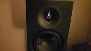Elac 3.0 db63 speakers. Phenomenal for their price!!