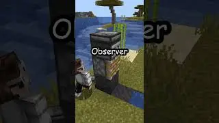 How To Make A Sugar Cane Farm In Minecraft!  #minecraft #minecraftgame #minecrafttutorial