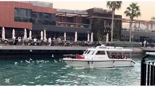 #بحرين باي جولة حصرية 👌🥰 تجربة مثيرة اجواء تجذبك للمكان #ماذا يوجد في الافنيوز الجديد ‼️👌