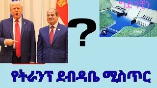 ትራምፕ ለምን ኢትዮጵያን ናቁ? በህዳሴው ግድብ ዙሪያ የተላከው ደብዳቤ ሚስጥር!
