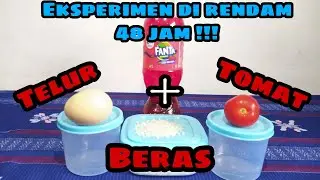 EXPERIMENT!!! Rendam Telur , Beras , Tomat Dengan Cairan Fanta Selama 48 Jam!!! BxP Creator