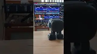 Emo likes stock charts and news