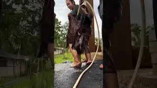 Rural life is full of fun #Snapshots #LifeRecords #FastGrowthPlan #TrendyLifeGrowthStar