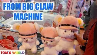 Won 3 Big Bears Stufftoys from Claw Machine | Toms world Malabon