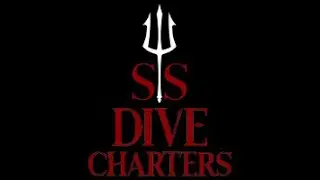 YSS Dive Charters What to Expect