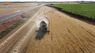 Cosechando por Castilla La Mancha (cebada), bonito video.