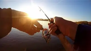 NORTH FORK FW 662-2S + 07 STELLA 1000FD + SUNLINE DEEP ONE 8HG #0.6