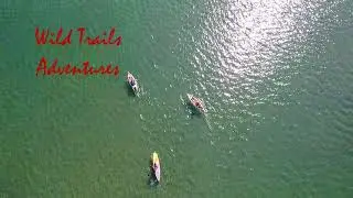 Stand Up Paddle Snorkel in Puerto Jimenez