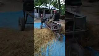 Paddy is being threshed with a threshing machine. #short #vairalshort #vairalshortvideo #vairal