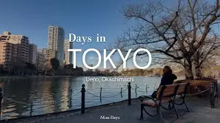 Tokyo Vlog🌱｜Ueno｜Okachimachi｜ Cafe☕️｜Stroll🚶｜Variety Goods｜Japan Vlog