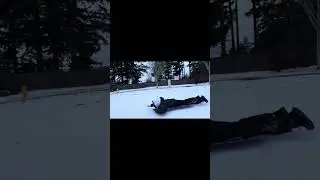 Snow day in PDX