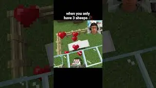 Minecraft Sheep Moment