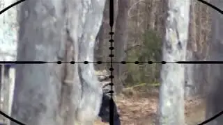 Paintball Sniper- HEADSHOT (Sar12)