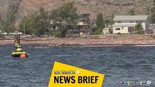 Log booms installed