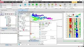 Pulsed Neutron Logging Interpretation in Techlog & Geolog (RST Sigma, RST C/O, RPM C/O and PND) 1/5