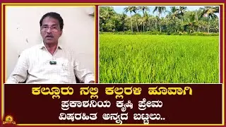 Kalloor Nagesh|ಕೃಷಿ ನಾಶವಾದರೆ ಜೊತೆಗಿರುವ ಸಂಪ್ರದಾಯಗಳು ಅಳಿಯುತ್ತದೆ!..ವಿಷಮುಕ್ತ ಅನ್ನದ ಬಟ್ಟಲು ನಮ್ಮ ಸಂಕಲ್ಪ.
