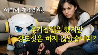 나나(애프터스쿨) 집에 주거침입한 강도가 오히려 나나를 고소한 사건에 대해서 chat gpt와 얘기해 보았다 | ai 챗지피티 인공지능 사용기