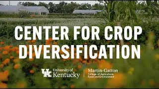UK Center for Crop Diversification celebrates 25 years helping farmers thrive