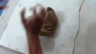 Clay Preparation -- Spiral Kneading Method
