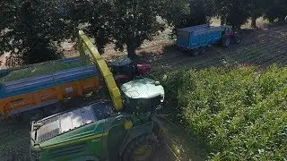 Ensilage au GAEC de la besnerie